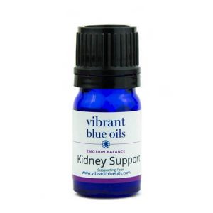 kidney support