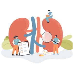 kidney-liver