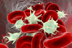 Activated platelets in blood flow and red blood cells