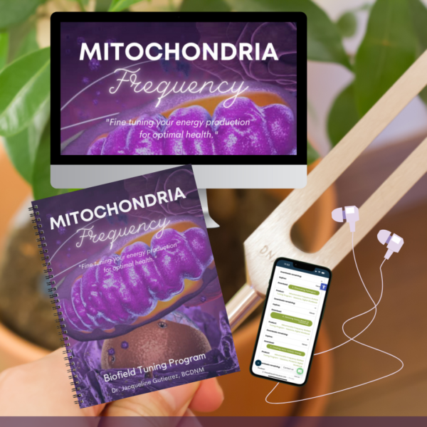 mitochondria workbook and sessions