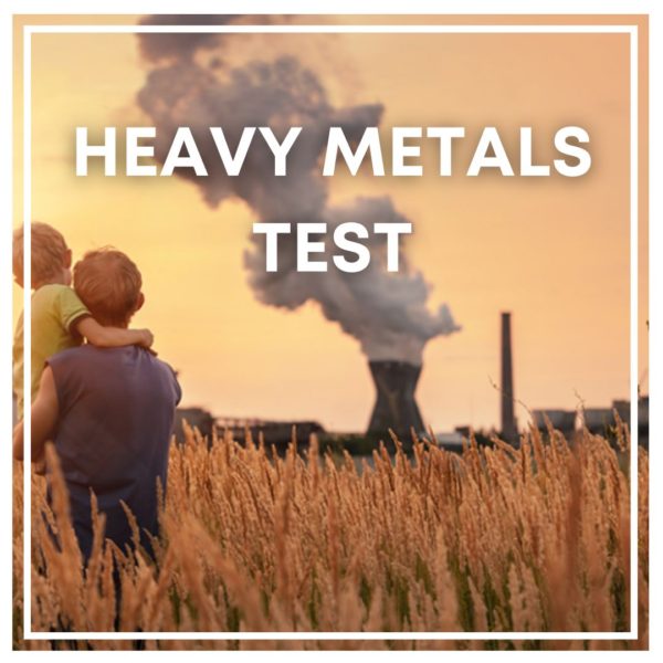 Heavy Metals Test