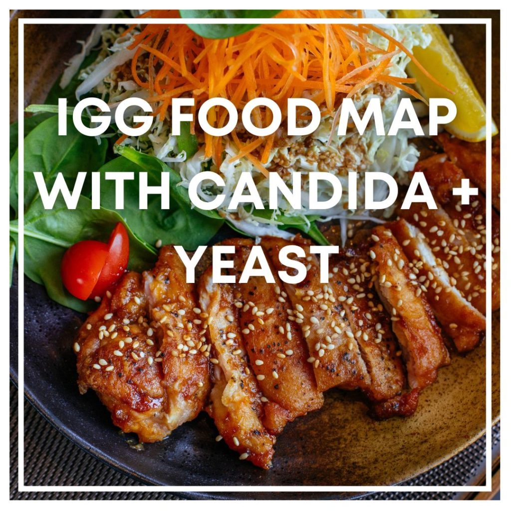 IgG Food MAP with Candida + Yeast