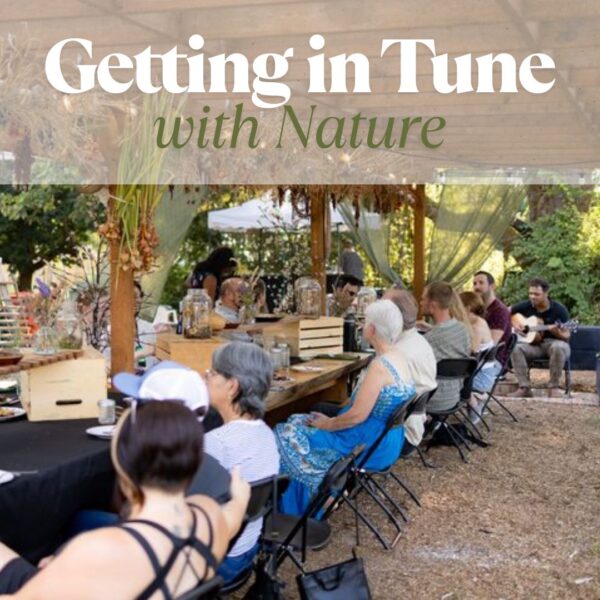 Getting in Tune with Nature