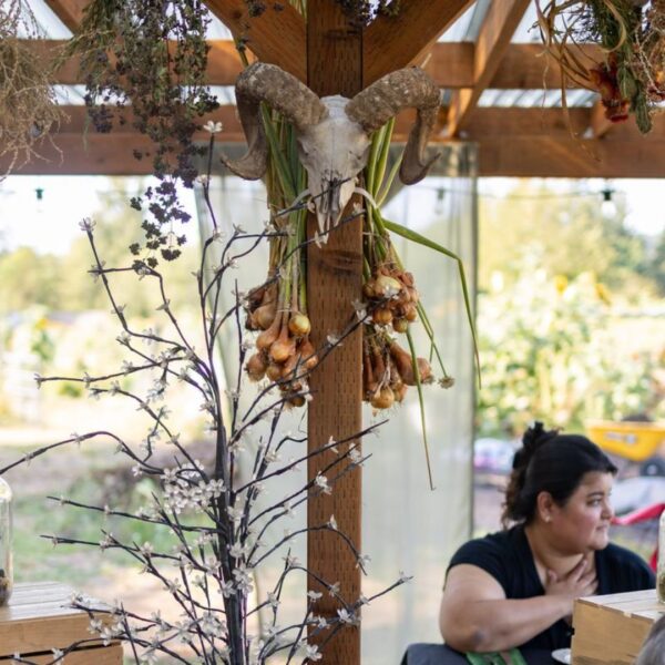 Getting in Tune with Nature - Image 3