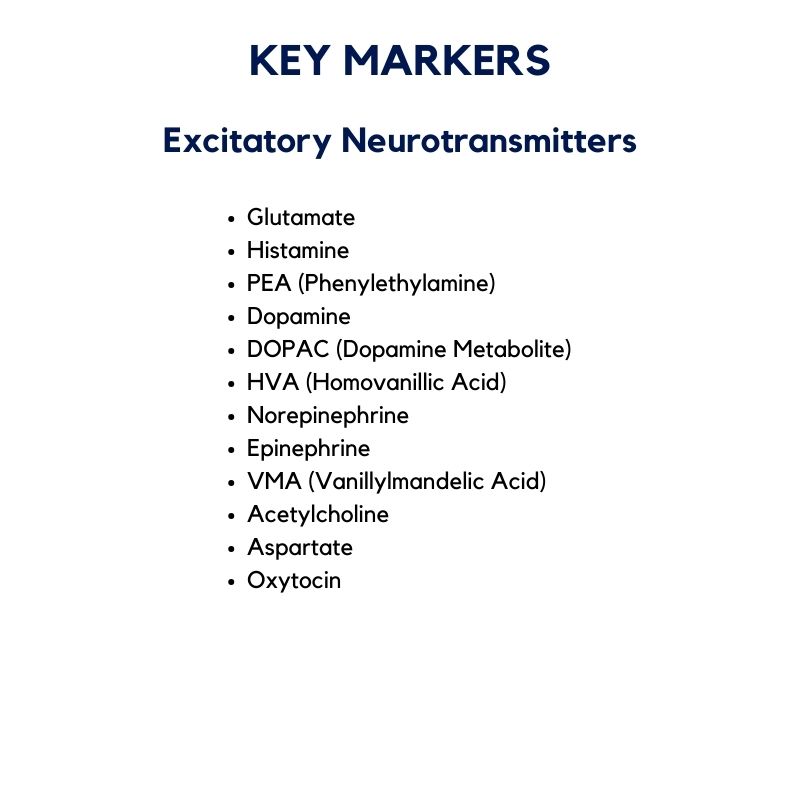 Excitatory Neurotransmitters