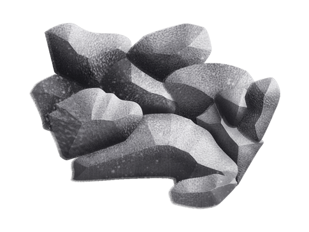 Heavy Metals Test