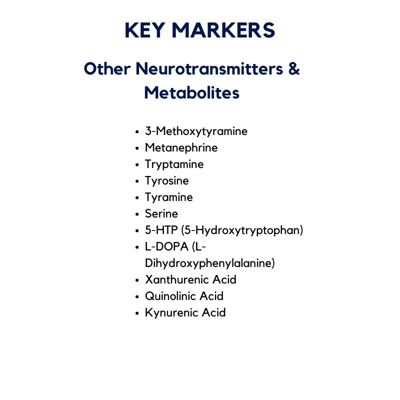 Other Neurotransmitters & Metabolites