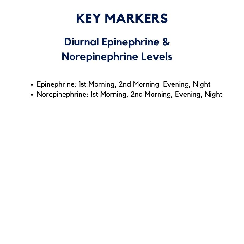Diurnal Epinephrine & Norepinephrine Levels