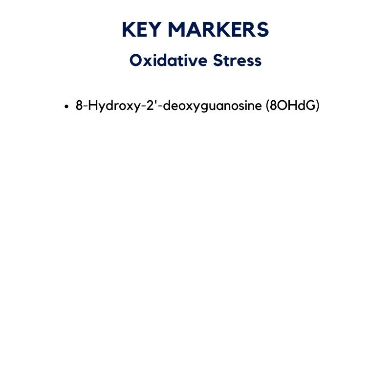 Oxidative Stress