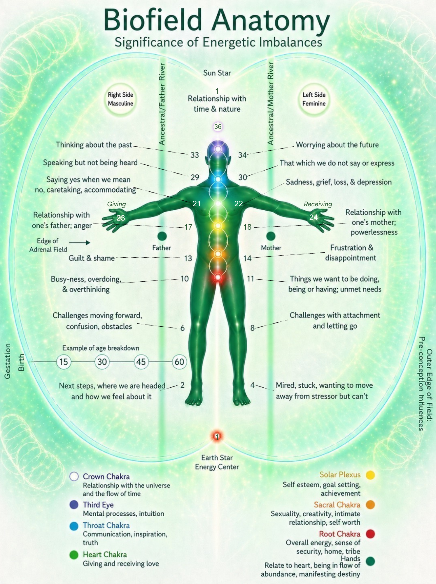 Nervous System Frequency | 18-Day Reset & Digital Workbook